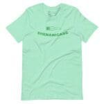 A Loading Shenanigans St.Patricks unisex t-shirt with the word "shenanigans" on it.