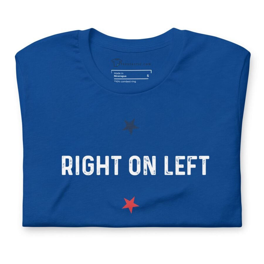 Democrat Right on Left | Election 2024 | Unisex Heavy Cotton Tee - Image 7